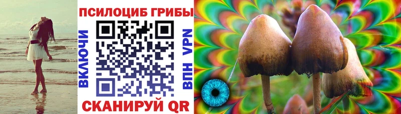 Псилоцибиновые грибы ЛСД Ливны